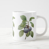  voedingsvruchten, Paarse tuinplassen van Redoute Grote Koffiekop (Rechts)