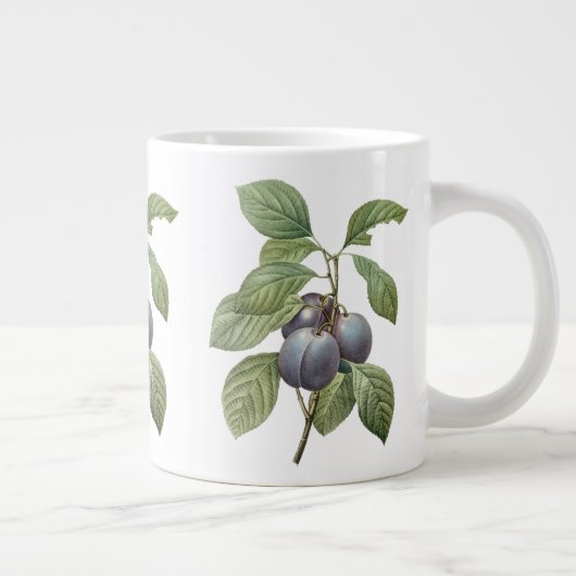  voedingsvruchten, Paarse tuinplassen van Redoute Grote Koffiekop (Rechts)