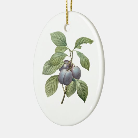  voedingsvruchten, Paarse tuinplassen van Redoute Keramisch Ornament (Links)