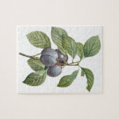  voedingsvruchten, Paarse tuinplassen van Redoute Legpuzzel (Horizontaal)