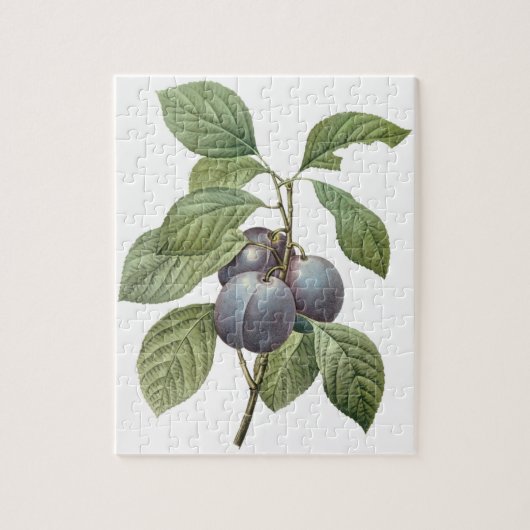  voedingsvruchten, Paarse tuinplassen van Redoute Legpuzzel (Verticaal)