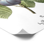  voedingsvruchten, Paarse tuinplassen van Redoute Poster (Hoek)