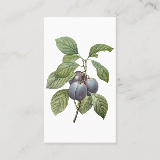 voedingsvruchten, Paarse tuinplassen van Redoute Visitekaartje (Achterkant)