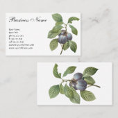  voedingsvruchten, Paarse tuinplassen van Redoute Visitekaartje (Voorkant / Achterkant)