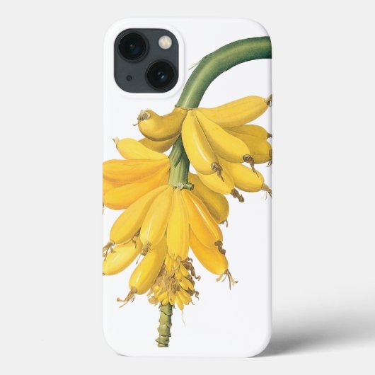  voedingsvruchten, tropische bananen van Redoute Case-Mate iPhone Case (Achterkant)