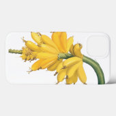  voedingsvruchten, tropische bananen van Redoute Case-Mate iPhone Case (Achterkant (horizontaal))