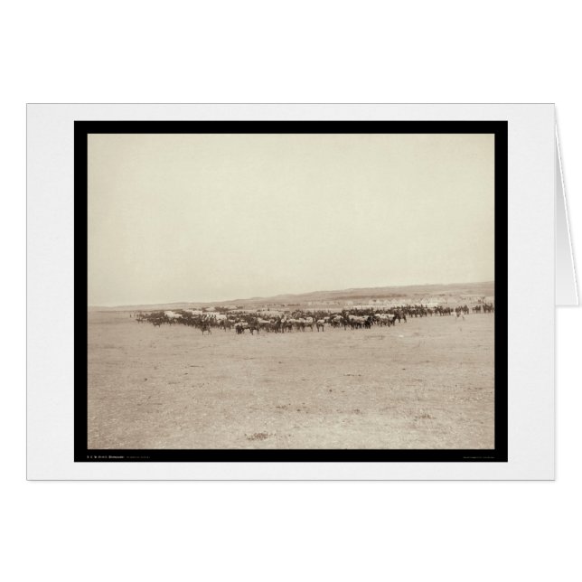 Voedingswagens en verpakkingsmodules SD 1887 (Voorkant Horizontaal)