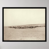 Voedingswagens en verpakkingsmodules SD 1887 Poster (Voorkant)