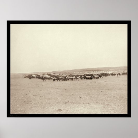 Voedingswagens en verpakkingsmodules SD 1887 Poster (Voorkant)