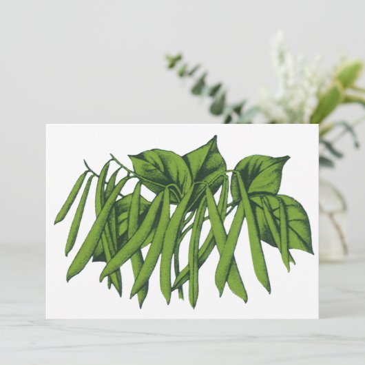 voedsel, biologisch geteelde groenten (Staand voorkant)