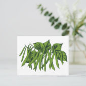 voedsel, biologisch geteelde groenten briefkaart (Staand voorkant)