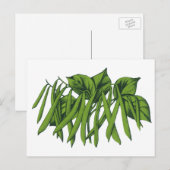 voedsel, biologisch geteelde groenten briefkaart (Voorkant / Achterkant)