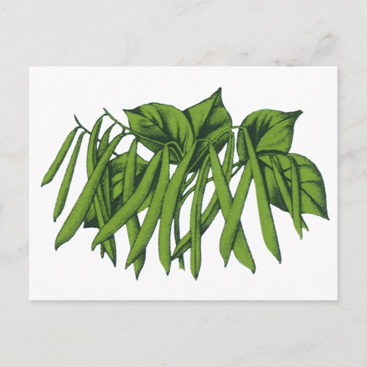 voedsel, biologisch geteelde groenten briefkaart (Voorkant)