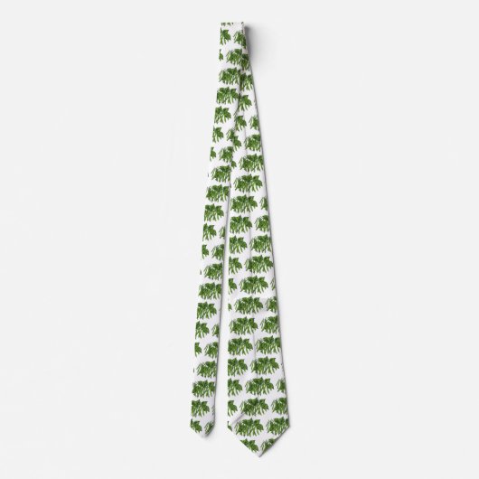 voedsel, biologisch geteelde groenten stropdas (Achterkant)