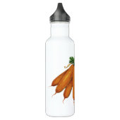 voedsel, bundel organische wortelgroenten waterfles (Links)