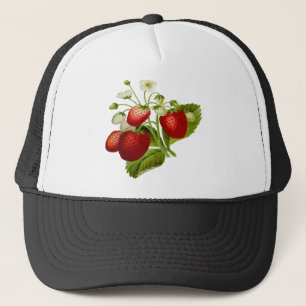 Voedsel fruit blad bladgroenten bladeren trucker pet