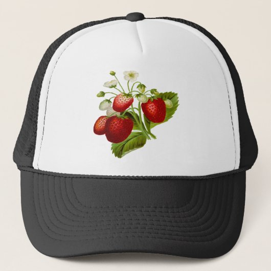 Voedsel fruit blad bladgroenten bladeren trucker pet (Voorkant)