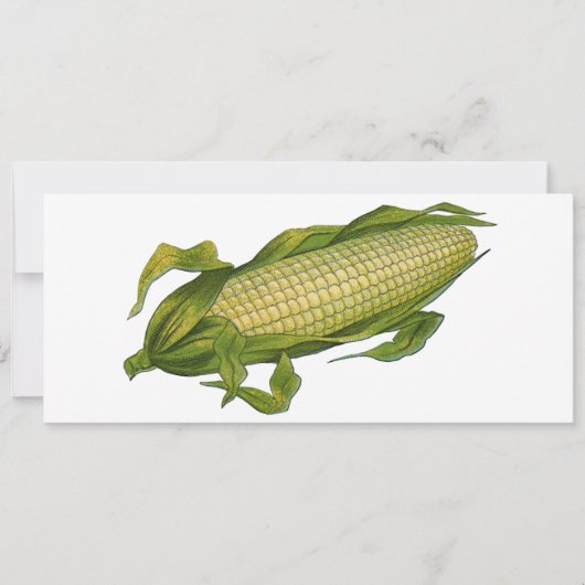  voedsel, gezonde groenten, maïs op de krab (Voorkant)