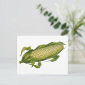  voedsel, gezonde groenten, maïs op de krab briefkaart (Staand voorkant)