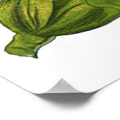 voedsel, gezonde groenten, maïs op de krab poster (Hoek)