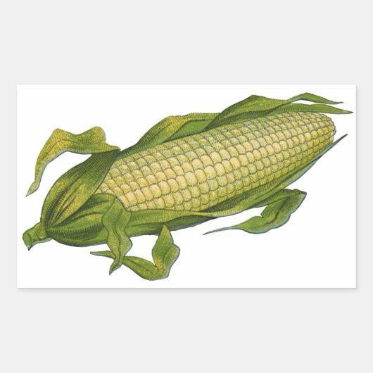 voedsel, gezonde groenten, maïs op de krab rechthoekige sticker (Voorkant)
