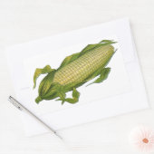 voedsel, gezonde groenten, maïs op de krab rechthoekige sticker (Envelop)