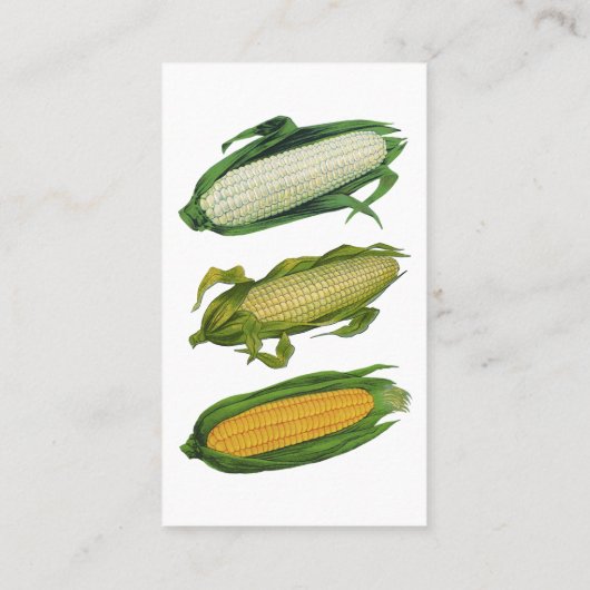  voedsel, gezonde groenten, maïs op de krab visitekaartje (Achterkant)