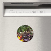 Voedsel - Groenten - Erg verse producten Magneet (Insitu (Vaatwasser))