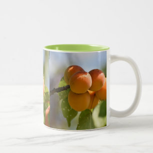Voedsel Perziken aan de Boom Tweekleurige Koffiemok