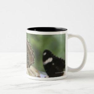 Voedsel voor Butterflies Tweekleurige Koffiemok