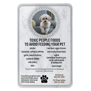 Voedsel voor huisdieren Gevaarlijke mensen Voeding Magneet