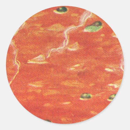  voedsel, warme Bowl van tomatensoep met erwten Ronde Sticker (Voorkant)