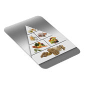 Voedselpiramide Magneet (Rechterzijde)