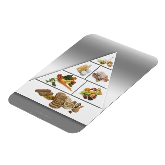 Voedselpiramide Magneet (Linkerzijde)