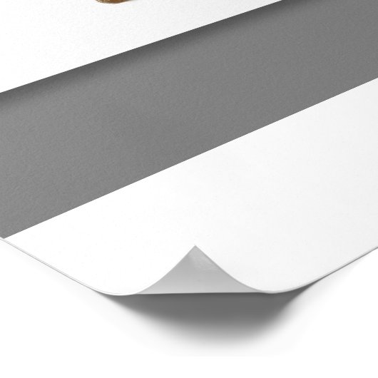 Voedselpiramide Poster (Hoek)