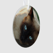 Voeg de foto en de naam van uw kattenbank toe aan  ornament (voorkant)