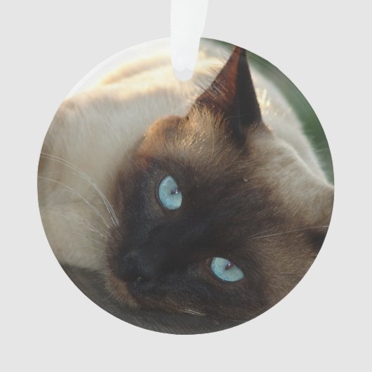 Voeg de foto en de naam van uw kattenbank toe aan  ornament (voorkant)