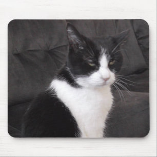Voeg de foto van je huisdier toe aan deze schattig muismat