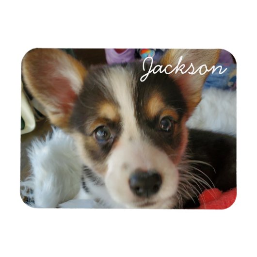 Voeg de Foto van uw dichter toe aan dit Magneet (Horizontaal)