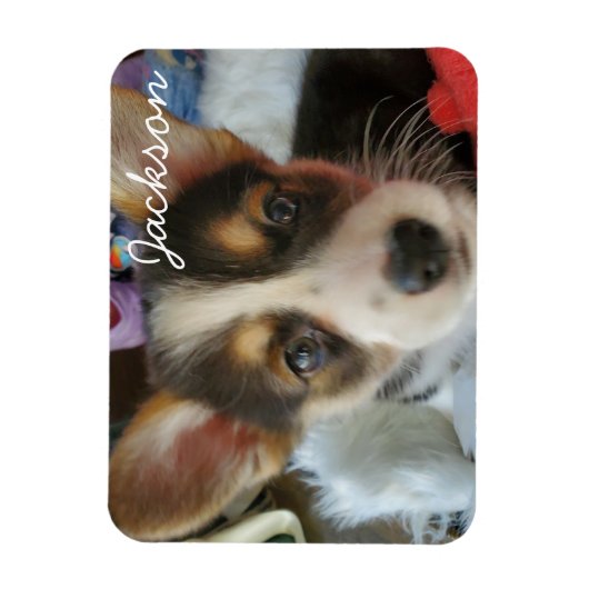 Voeg de Foto van uw dichter toe aan dit Magneet (Verticaal)