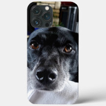 Voeg de foto van uw hond toe aan deze Custom