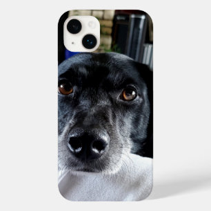 Voeg de foto van uw hond toe aan deze Custom Case-Mate iPhone 14 Plus Hoesje