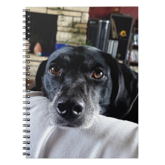 Voeg de foto van uw hond toe aan deze Custom Notitieboek (Voorkant)