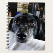 Voeg de foto van uw hond toe aan deze Custom Planner (Voorkant)