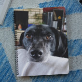 Voeg de foto van uw hond toe aan deze Custom Planner
