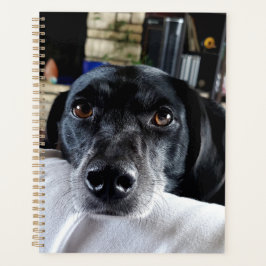 Voeg de foto van uw hond toe aan deze Custom Planner