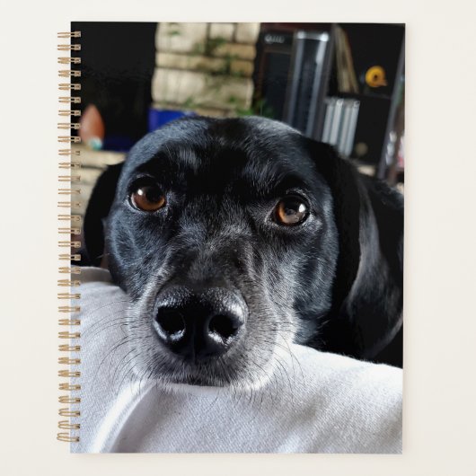 Voeg de foto van uw hond toe aan deze Custom Planner (Voorkant)