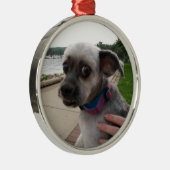 Voeg de foto van uw hond toe aan deze Ornament (Rechts)