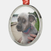 Voeg de foto van uw hond toe aan deze Ornament (Links)
