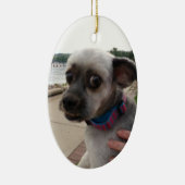 Voeg de foto van uw hond toe aan deze Ornament (Rechts)